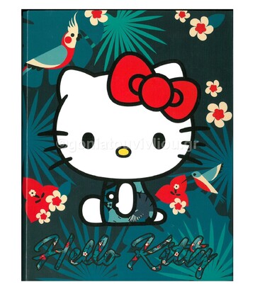 GRAFFITI ΚΛΑΣΕΡ 17Χ25 HELLO KITTY ALOHA 18809