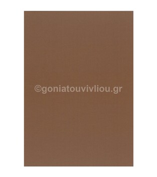 FAVINI ΧΑΡΤΟΝΙ A4 (21x29,7cm) 220gr ΚΑΦΕ No08