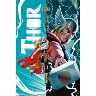 ΔΙΑΚΟΣΜΗΤΙΚΗ ΑΦΙΣΑ THOR 61x91,5cm PP35120 (17)