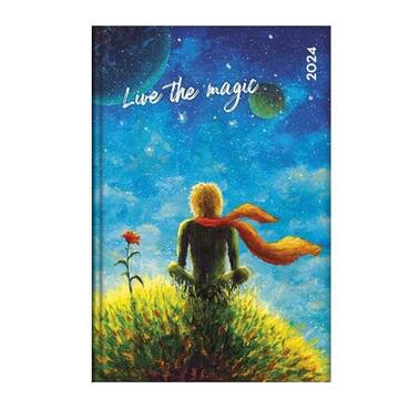 2024 ΗΜΕΡΟΛΟΓΙΟ ΗΜΕΡΗΣΙΟ ΛΕΥΚΟ 14x20cm IT S MAGIC (ΣΧΕΔΙΟ c LIVE THE MAGIC ΜΙΚΡΟΣ ΠΡΙΓΚΙΠΑΣ) ME ΕΥΡΕΤΗΡΙΟ ΜΗΝΩΝ ΗΒ 894841 7403613 (THE WRITING FIELDS)