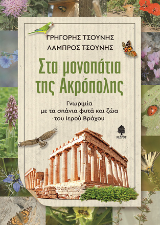 ΣΤΑ ΜΟΝΟΠΑΤΙΑ ΤΗΣ ΑΚΡΟΠΟΛΗΣ (ΤΣΟΥΝΗΣ) (ΕΤΒ 2021)