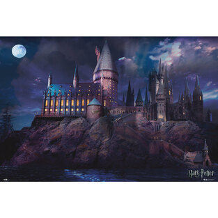 ΔΙΑΚΟΣΜΗΤΙΚΗ ΑΦΙΣΑ HARRY POTTER HOGWARTS 61x91,5cm GPE5367 (7)