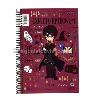 SALKO ΤΕΤΡΑΔΙΟ ΣΠΙΡΑΛ 17x25cm 4 ΘΕΜΑΤΩΝ 120φ HARRY POTTER MAGICAL ΜΠΟΡΝΤΩ 7334