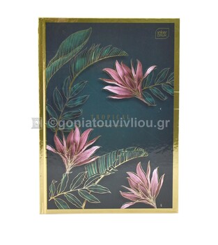 INTERDRUK ΤΕΤΡΑΔΙΟ ΒΙΒΛΙΟΔΕΤΗΜΕΝΟ A4 (21x29,7cm) 96φ METAL GOLD ΠΡΑΣΙΝΟ ΜΕ ΛΟΥΛΟΥΔΙΑ