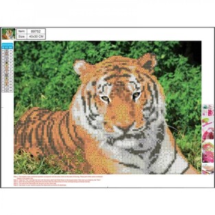 CENTRUM DIAMOND PAINTING KIT 5D (ΧΑΝΤΡΕΣ) 30x40cm ΤΙΓΡΗΣ 89752