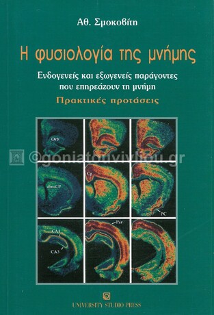 Η ΦΥΣΙΟΛΟΓΙΑ ΤΗΣ ΜΝΗΜΗΣ (ΣΜΟΚΟΒΙΤΗ)