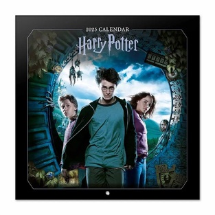 2025 ΗΜΕΡΟΛΟΓΙΟ ΤΟΙΧΟΥ 30x30cm HARRY POTTER CP25069 (ERIK)