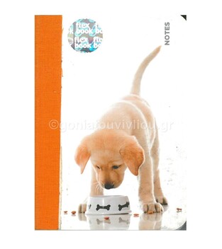 FLEXBOOK ΣΗΜΕΙΩΜΑΤΑΡΙΟ ΛΙΝΟΔΕΤΟ 8X12 PUPPY DOG ΧΩΡΙΣ ΓΡΑΜΜΕΣ 2400017