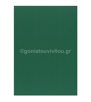 FAVINI ΧΑΡΤΟΝΙ 50x70cm 220gr ΚΥΠΑΡΙΣΣΙ PINO No20